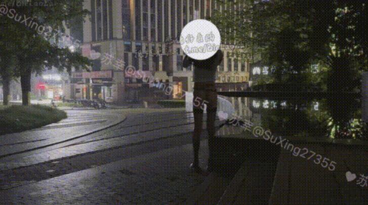 ⭐️精品推荐⭐️推特网黄福利姬【苏幸】公园放置光着下体露出 放置任务，在公园长椅上露出骚穴，人后脱下裙子换丝袜